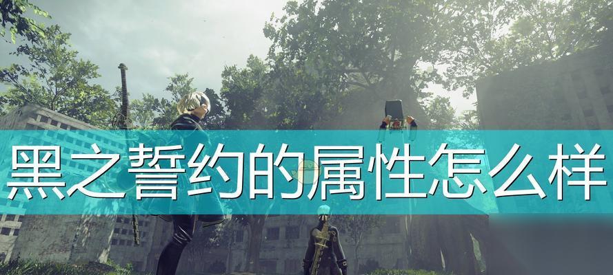 尼尔机械纪元黑之契约 的获取方法详解 打造独特世界的冒险之旅
