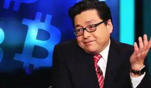 汤姆·李：黄金热潮被视为加密货币的良机而非威胁——