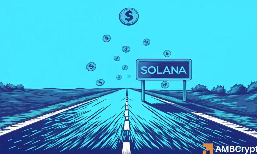 Solana 在 1 月份的链上交易中胜出——那么为什么 SOL 仍然下跌了 20%