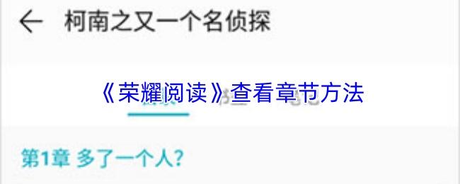 荣耀阅读 查看章节方法