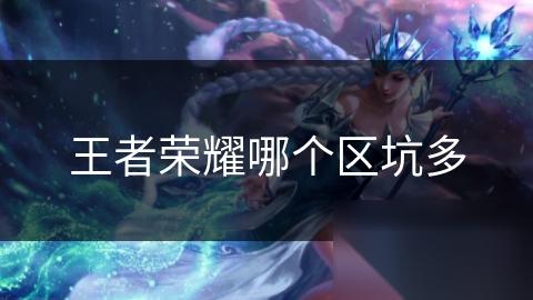 王者荣耀哪个区坑多