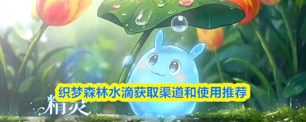 织梦森林水滴获取渠道和使用推荐