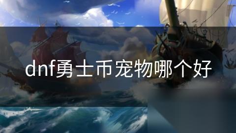 dnf勇士币宠物哪个好