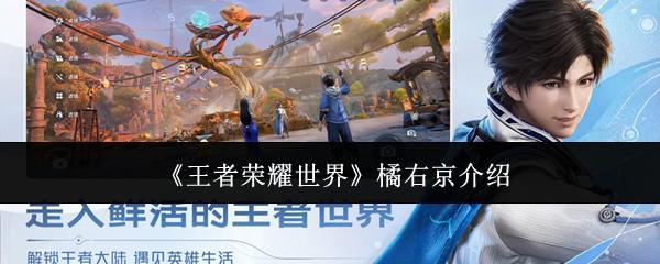 王者荣耀世界 橘右京介绍