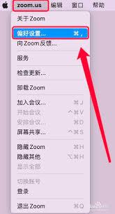 Zoom聊天窗口大小如何设置