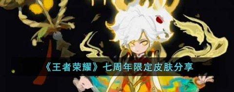 王者荣耀 七周年限定皮肤分享