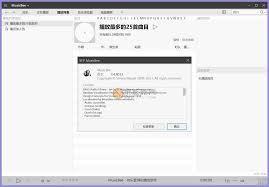 MusicBee音乐播放器如何设置中文