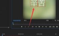 PR文字怎么添加球面化效果