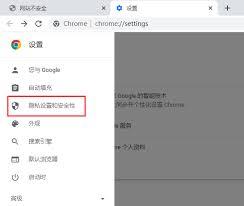 谷歌浏览器怎样开启安全连接