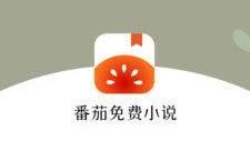 番茄免费小说 app 如何离线下载