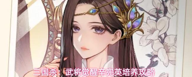 三国杀：武将觉醒辛宪英培养攻略