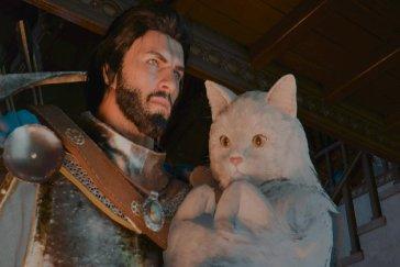 红色沙漠长毛猫刷新位置一览 宠物长毛猫这么解锁