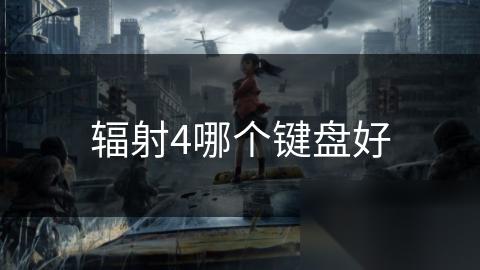 辐射4哪个键盘好